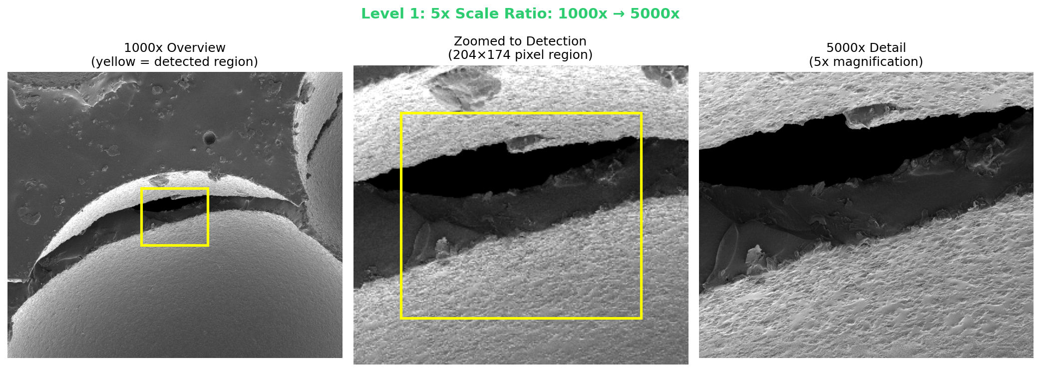 5x scale matching result