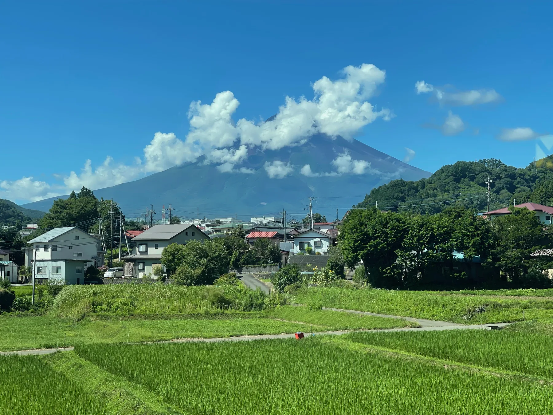 Mount Fuji rising behind a village and bright green rice fields under a blue summer sky